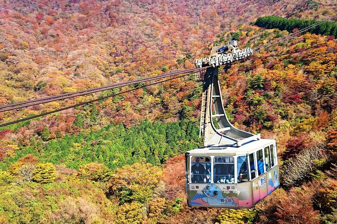 1 Day Private Tour in Hakone With Hakone Freepass & Train Ticket - Key Points