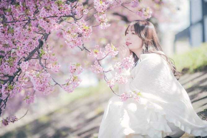 1 Hour Private Photoshoot in Matsumoto Nagano - Key Points