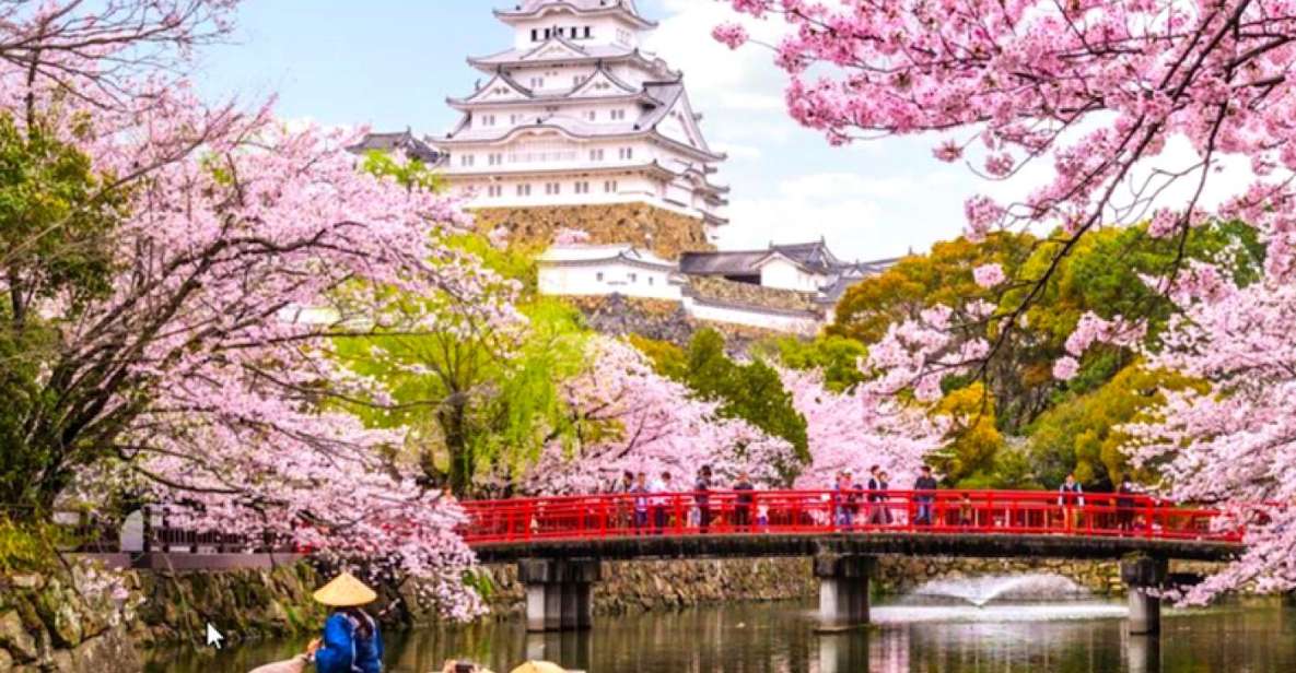 10-Day Private Guided Tour in Japan Moreover 60 Attractions - Good To Know