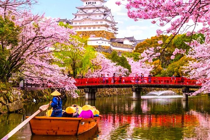 10-Day Private Sightseeing Tour in Japan More Than 60 Attractions - Itinerary Overview