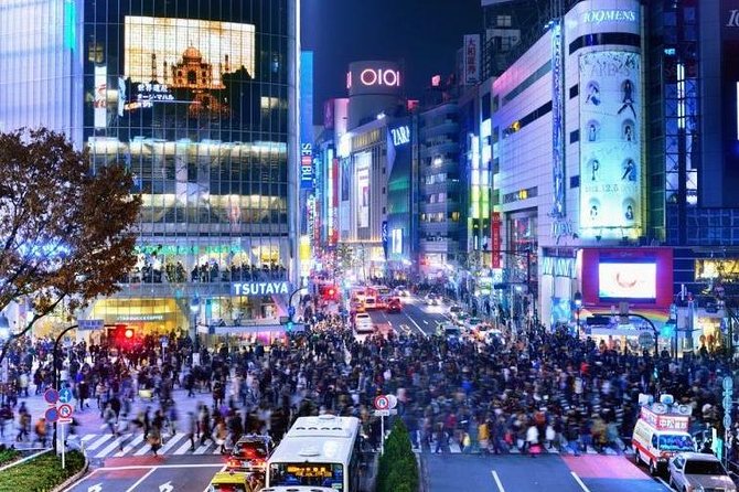 1 Day Charter Tour for Tokyo Sightseeing