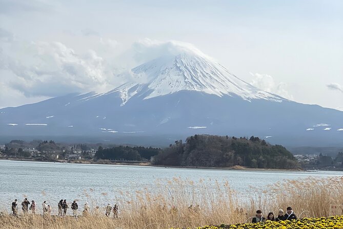 1 Day Fully Customized Tour to Mt Fuji With English & Hindi Speak