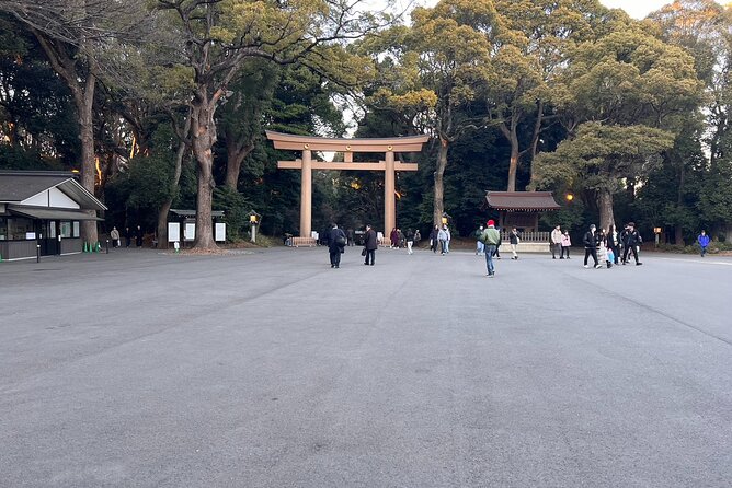 1 Hour Meiji Jingu Shrine Walking Tour in Harajuku