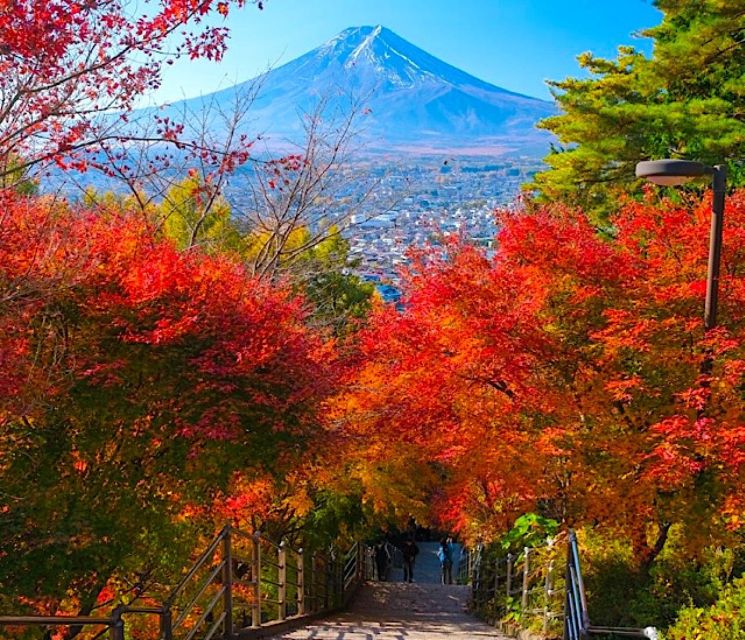 2-Day Private Tokyo MT Fuji and Hakone Tour With Guide