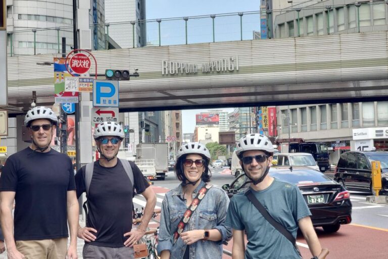 3-Hour Private E-Bike Tour Fr Roppongi, Start at Your Hotel