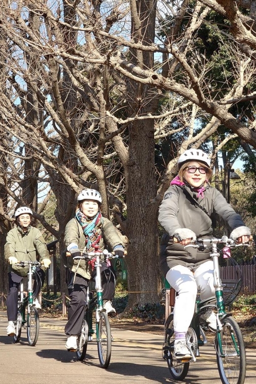 3-Hour Private E-Bike Tour Fr Shinjuku, Start at Your Hotel