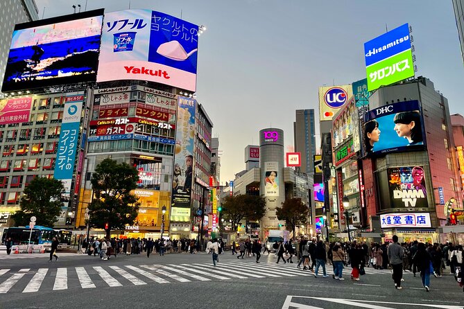 4 Hours Private Walking Tour in Tokyo