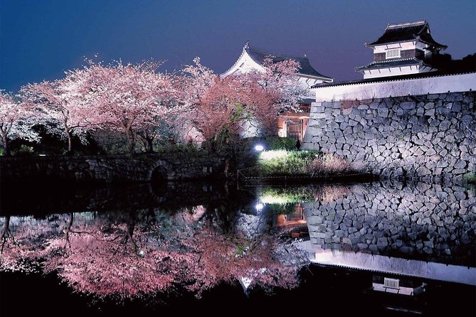 A Day Charter Bus Tour Around Cherry Blossoms in Northern Kyushu