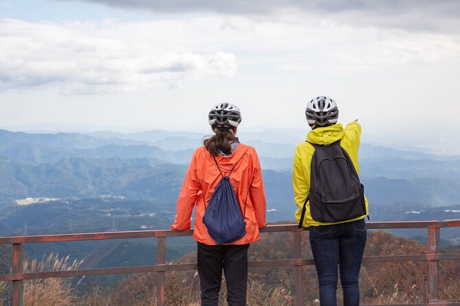 Akagi Summit Lakeshore E-Bike Food Tour