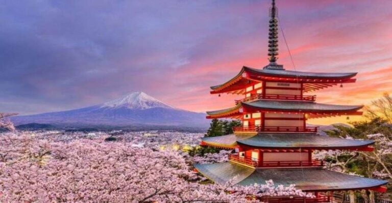 Alpha Japan With Mt.Fuji by Hiace Upto 9 Persons