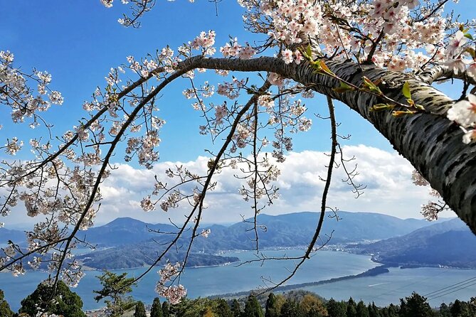 Amanohashidate Private Customizable Tour From Osaka or Kyoto