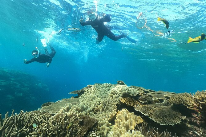 Boat Snorkeling Trip 1 Round at Minna Isl or Sesoko , Okinawa