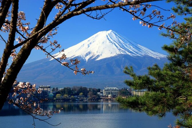 Day Mount Fuji Private Tour English Speaking Driver