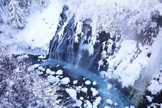 Day Tour to Asahiyama Zoo, Blue Pond & Shirahige Falls With Lunch