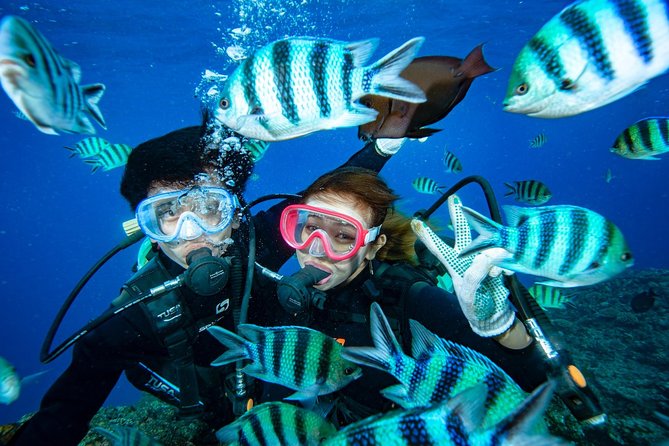 Departing From Onna Village (Maeda Fishing Port)! Minna Island Snorkel & Trolling Experience | Completely Reserved Boat Charter Plan (7 Hours Course)