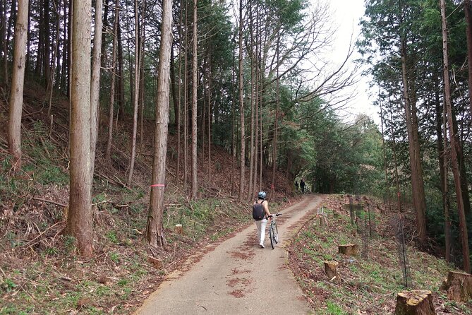 E-BIKE Nature Tour: Birthplace of Japan, Asukamura