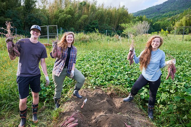 Eco Focused Cycling and Crafts Tour in Kameoka 1 Day