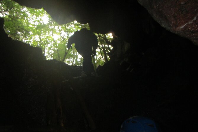 Exploring Mt Fuji Ice Cave and Sea of Trees Forest