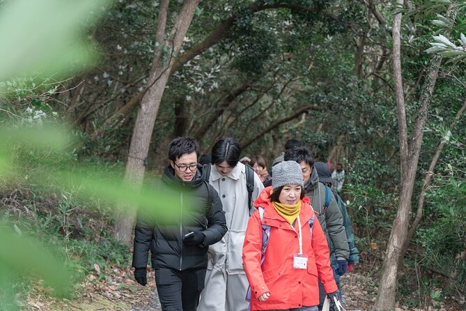 Forest Therapy in Sasaguri Town