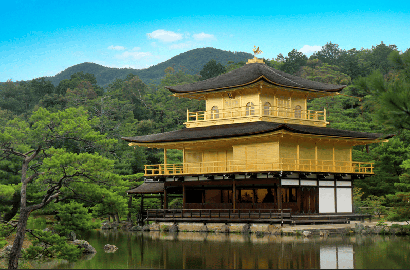 From Osaka/Kyoto: Kyoto & Nara Bus Tour W/ Kinkakuji Ticket - Customer Reviews