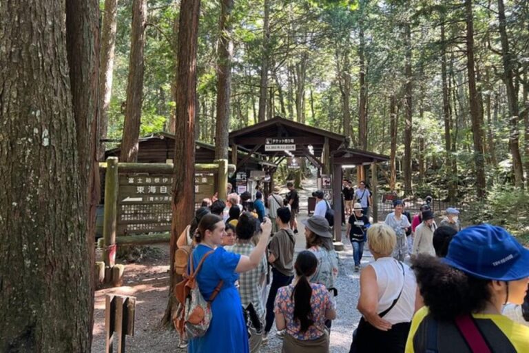 From Tokyo: Guided Aokigahara Forest and Mt.Fuji Day Tour