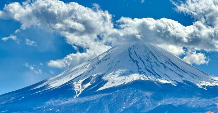 From Tokyo: Mount Fuji Full Day Private Customize Tour
