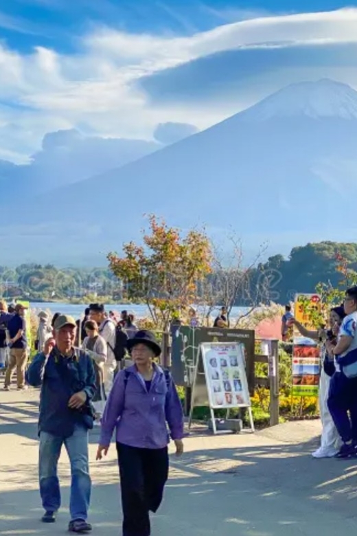 From Tokyo Mount Fuji Private Tour English Speaking Driver