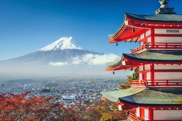 From Tokyo: Mt Fuji and Hakone Customizable Private Day Trip