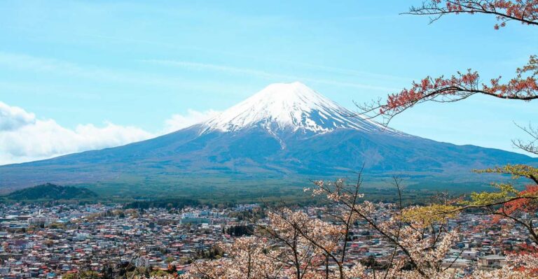 From Tokyo: Mt. Fuji Full-Day Sightseeing Trip