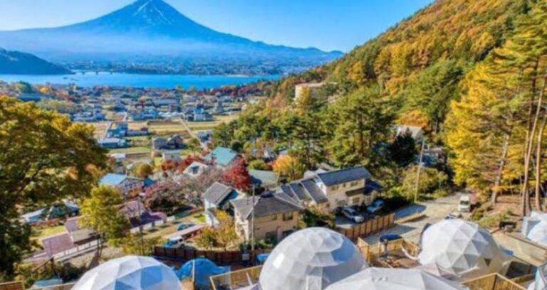 From Tokyo MT Fuji Fully Customize Tour With English Driver