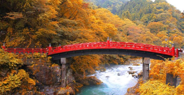 From Tokyo: Private Day Trip to Nikko and Lake Chuzenji