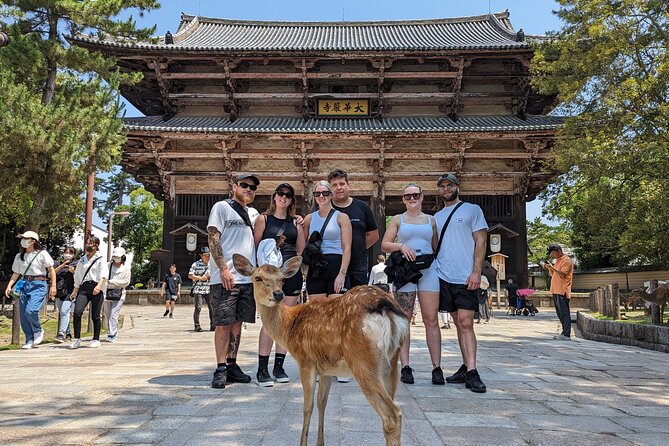 Full Day Nara E Bike Tour and Osaka History Food Tour