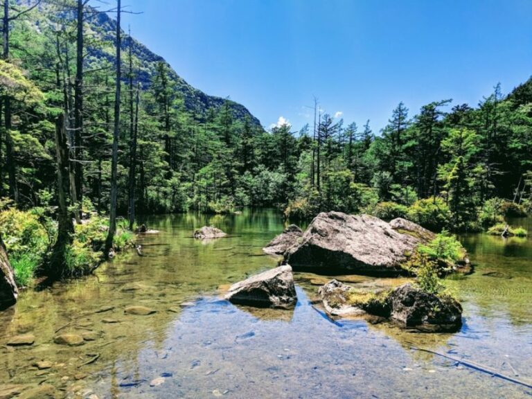 Full-Day Tour: Matsumoto Castle & Kamikochi Alpine Valley