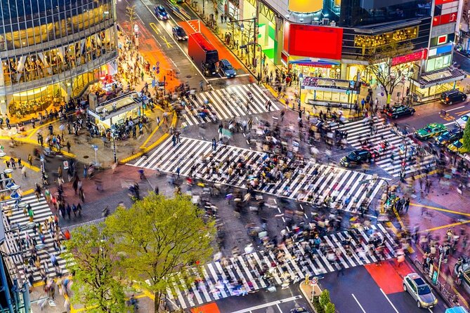 Full Day Walking Tour in Shinjuku and Shibuya