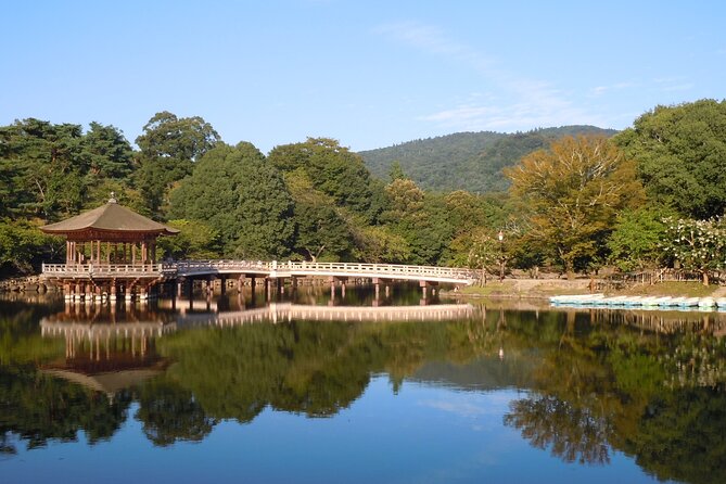 Guided Tour of Todaiji and Nara Park (Guide in Spanish)