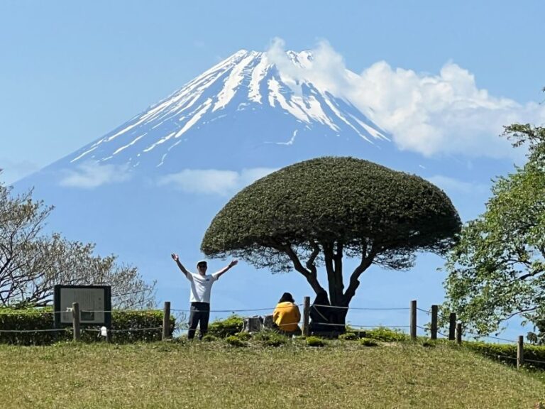 Hakone Hachiri: Old Tokaido Highway Hiking Tour