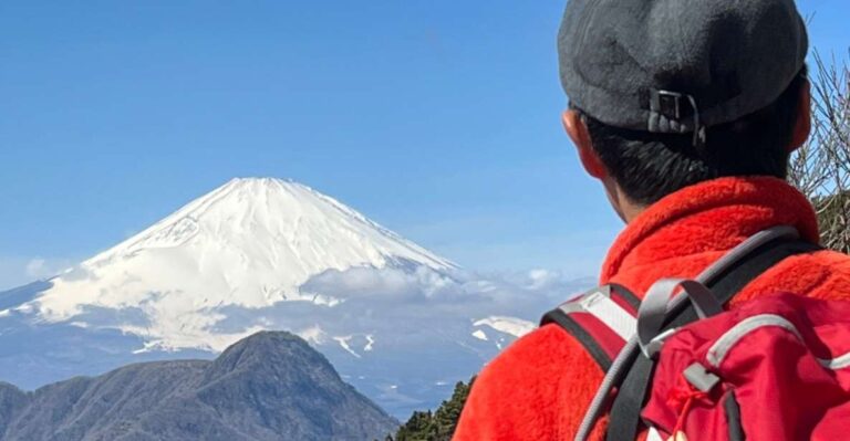 Hakone: Traverse the Hakone Caldera and Enjoy Onsen