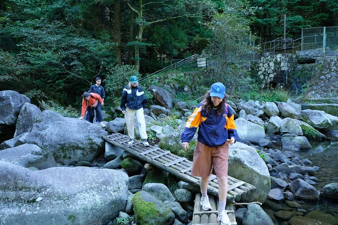 Half Day Forest Bathing in Hakone Geopark