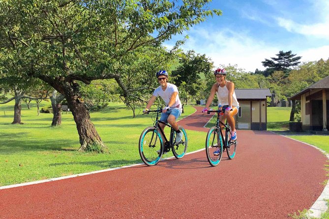 Half Day Izu Kogen Highlands Downhill Cycling Tour