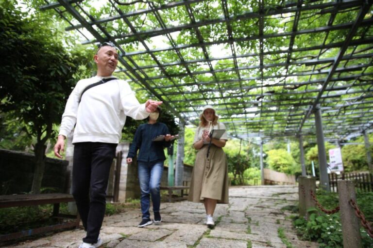 Half-Day Shared Tour at Kurashiki With Local Guide