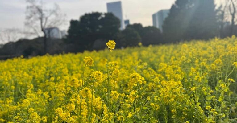 Hama Rikyu Gardens and Surroundings Guided Waking Tour