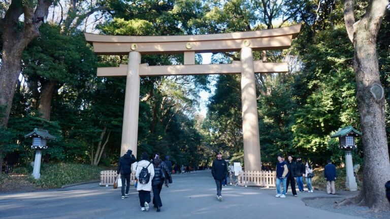 Harajuku From Meiji Shrine to Shibuya Crossing 2 Hours