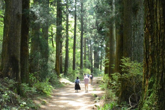 Hike Hakone Hachiri