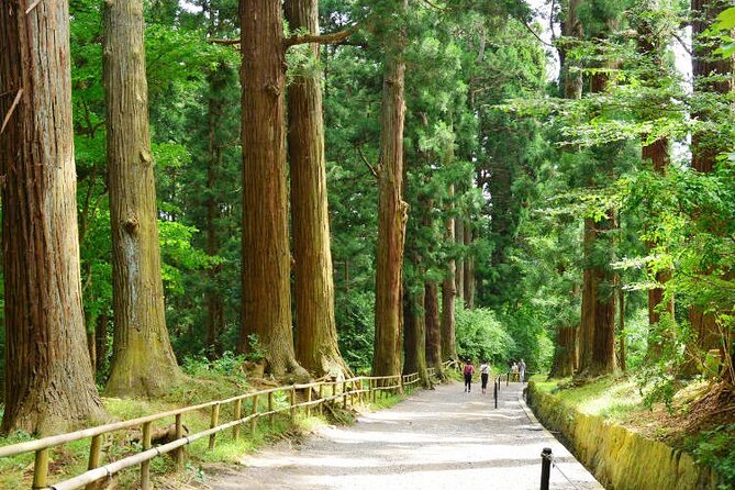 Hiraizumi Half-Day Private Trip With Government-Licensed Guide