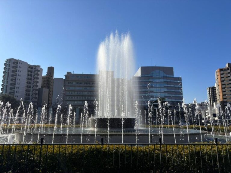 Hiroshima: History of Hiroshima Private Walking Tour