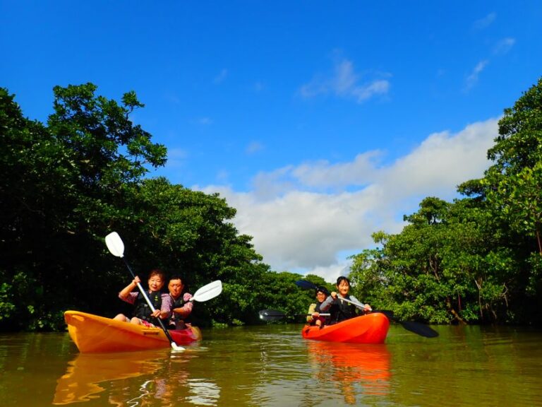 Ishigaki Island: 2-Hour Miyara River Kayaking Tour