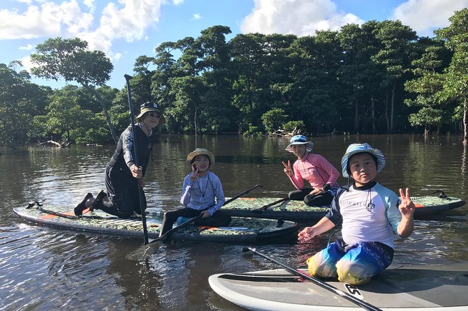 Ishigaki Island Unexplored Subtropical Mangrove Sap Experience