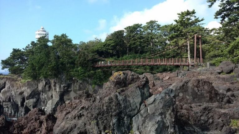 Izu Peninsula: Jogasaki Coast Experience