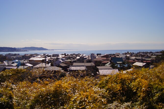 Kamakura Half Day Walking Tour With Local Experience