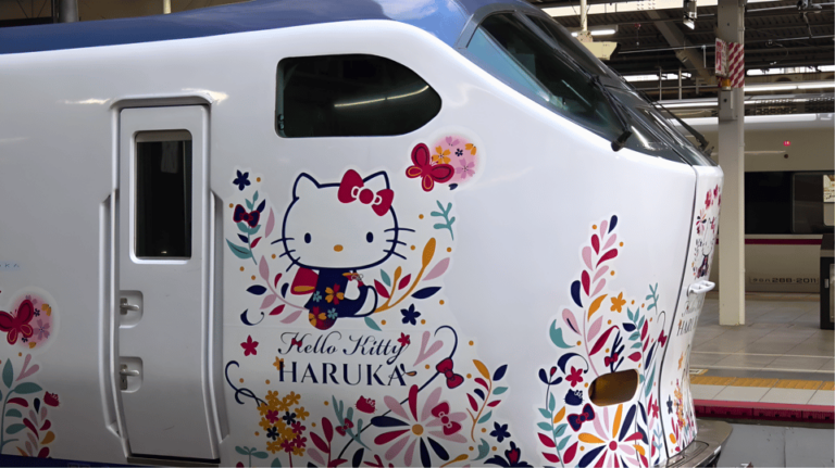 Kansai-Airport Express HARUKA One-way Ticket